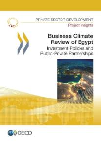 BCR Egypt 2014 Publication Cover page